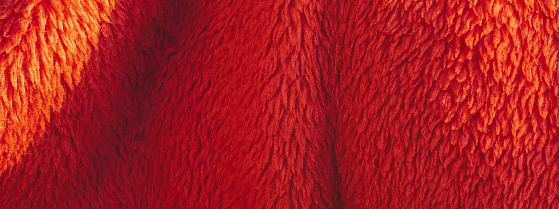 Plush Materials We Use